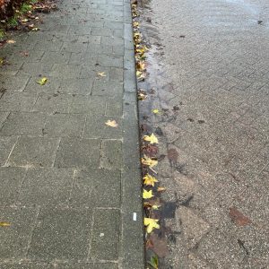 Trottoirband (13x15) (per stuk)
