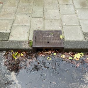 Trottoirkolk (per stuk)