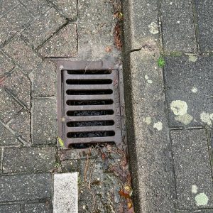 Straatkolk (30x45) (per stuk)